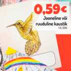 Allahindlus - Jooneline või ruuduline kaustik 1tk, 60 lk