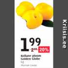 Kollane ploom Golden Globe kg