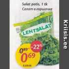 Allahindlus - Salat potis, 1 tk