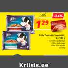 Allahindlus - Felix Fantastic kassisööt,
4 x 100 g