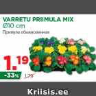 Allahindlus - VARRETU PRIIMULA MIX
Ø10 cm