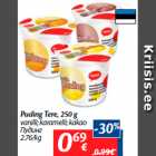 Allahindlus - Puding Tere, 250 g

