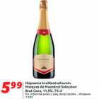 Allahindlus - Hispaania kvaliteetvahuvein
Marques de Monistrol Seleccion
Brut Cava