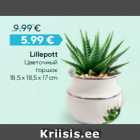 Lillepott

