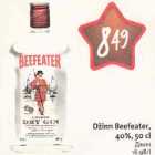 Allahindlus - Džinn Beefeater, 40%r 50 cl