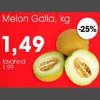 Allahindlus - Melon Galia, kg