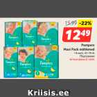 Mähkmed - Pampers
Maxi Pack mähkmed
