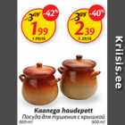 Kaanega haudepott