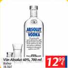 Allahindlus - Viin Absolut