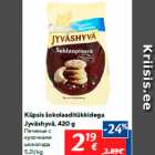 Küpsis šokolaaditükkidega
Jyväshyvä, 420 g
