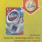 Allahindlus - Domestos Tahke WC-värskendaja Atlantic, 40 g