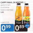 CAPPY MAHL JA NEKTAR 1 L