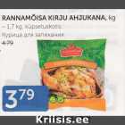 RANNAMÕISA KIRJU AHJUKANA, KG