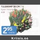 TULBIKIMP 38 CM 7 tk