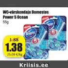 WC-värskendaja Domestos Power 5 Ocean 55 g