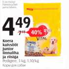 Koera kuivsööt Junior linnuliha ja riisiga Pedigree, 3 kg