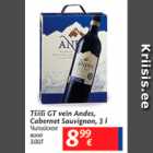 Allahindlus - Tšilli GT vein Andes, Cabernet Sauvignon, 3 l