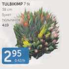 TULBIKIMP 