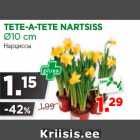 Allahindlus - TETE-A-TETE NARTSISS
Ø10 cm