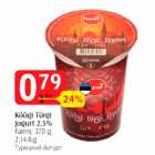 Köögi Türgi jogurt 2,5%