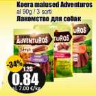 Koera maiused Adventuros
