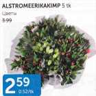 ALSTROMEERIKAKIMP 5 TK