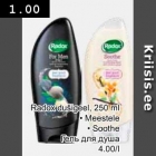 Allahindlus - Radox dušigeel, 250 ml