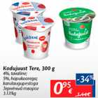 Allahindlus - Kodujuudt Tere, 300 g