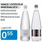 HAAGE LOODUSLIK MINERAALVESI 1 L