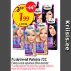 Püsivärvid Palette ICC