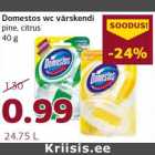 Allahindlus - Domestos wc värskendi pine, citrus 40 g