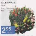 TULBIKIMP 7 TK 38  cm