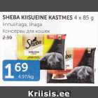 SHEBA KIISUEINE KASTMES