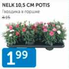 NELK 10,5 CM POTIS