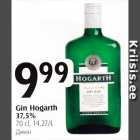 Gin Hogarth