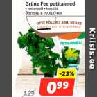 Allahindlus - Grüne Fee potitaimed
