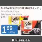 SHEBA KIISUEINE KASTMES