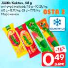 Jäätis Kaktus, 48 g

